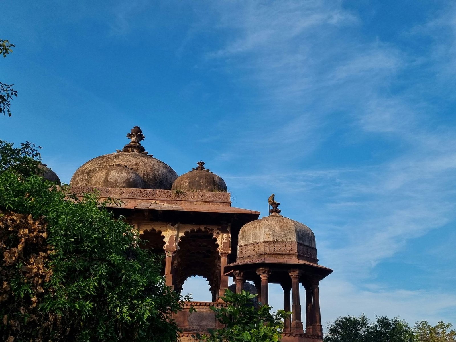 Domed chhatri in Chittorgarh Fort