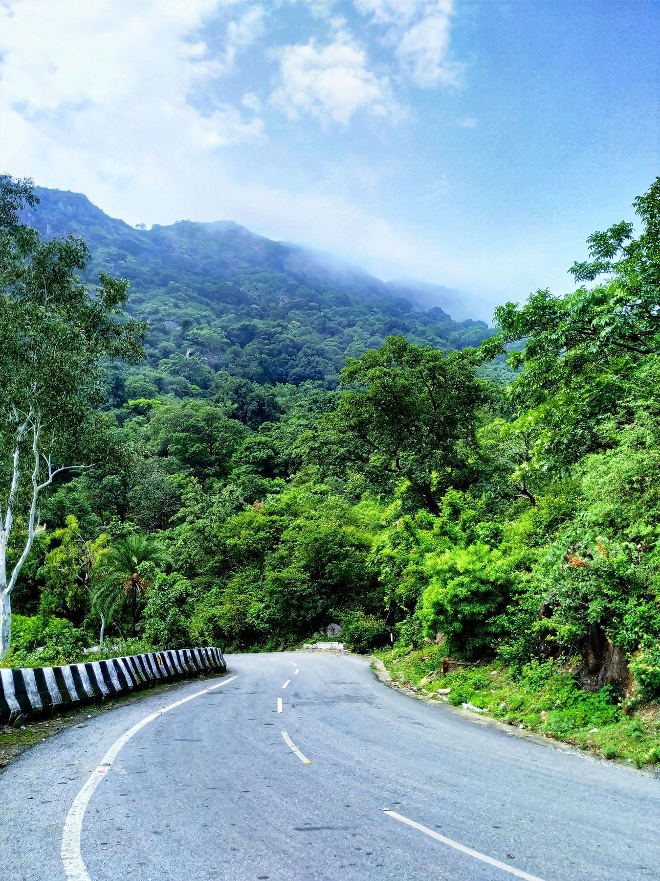 Winding green road up to Mount Abu
